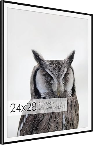 Miniatura 292 de Fun Memories Portarretratos de metal de 16 x 20 pulgadas con paspartú de 11 x 14 pulgadas, acabado de aluminio cepillado, parte delantera de vidrio