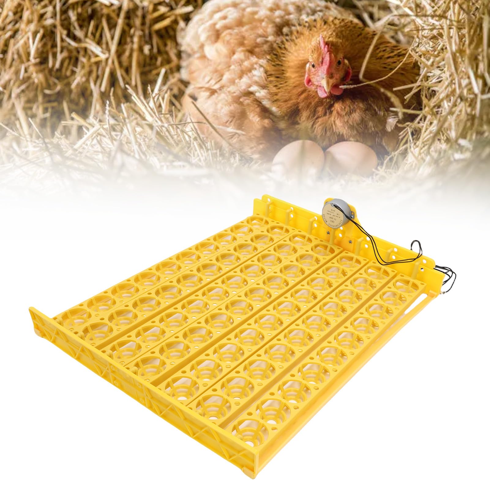 Plateau de Retournement Automatique des œufs, Plateau d'incubateur d'œufs en Matière Plastique, Grande capacité pour 70 œufs, Outil 'éclosion Pratique pour Poulet, Canard, Caille