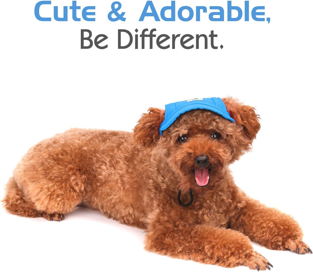 Pawaboo Dog Baseball Cap, Adjustable Dog Outdoor Sport Sun Protection Baseball Hat Cap Visor Sunbonnet Outfit with Ear Holes for Puppy Small Dogs, Small, Blue : Pet Supplies