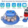 Incubators for Hatching Eggs, Eggs Incubator with Automatic Egg Turning and Auto Water Adding with Egg Candle, Incubator for Chicken Eggs with 2 Egg Trays