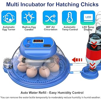Incubators for Hatching Eggs, Eggs Incubator with Automatic Egg Turning and Auto Water Adding with Egg Candle, Incubator for Chicken Eggs with 2 Egg Trays