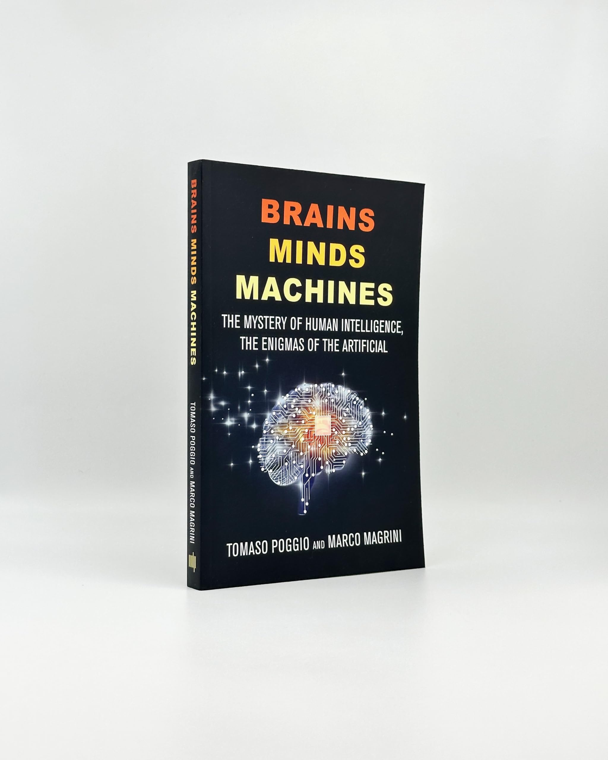 Brains Minds Machines: The Mystery of Human Intelligence, the Enigmas of the Artificial