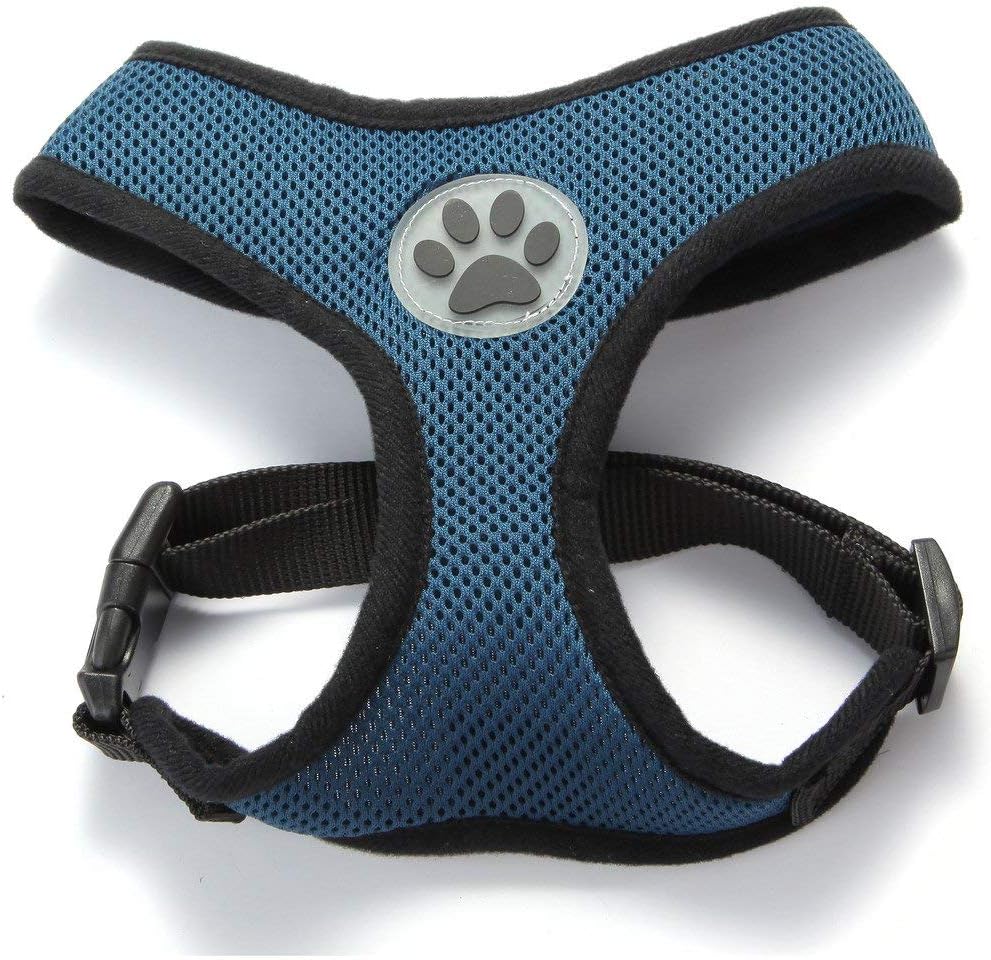 BINGPET Small Dog Harness – Breathable Mesh Puppy Cat Harnesses – No Pull Adjustable Dog Harness Dog Vest Harness for Small and Medium Dogs