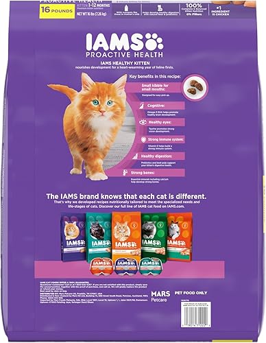 Miniatura 2 de IAMS Proactive Health Healthy Kitten Dry Cat Food with Chicken, 16 lb. Bag