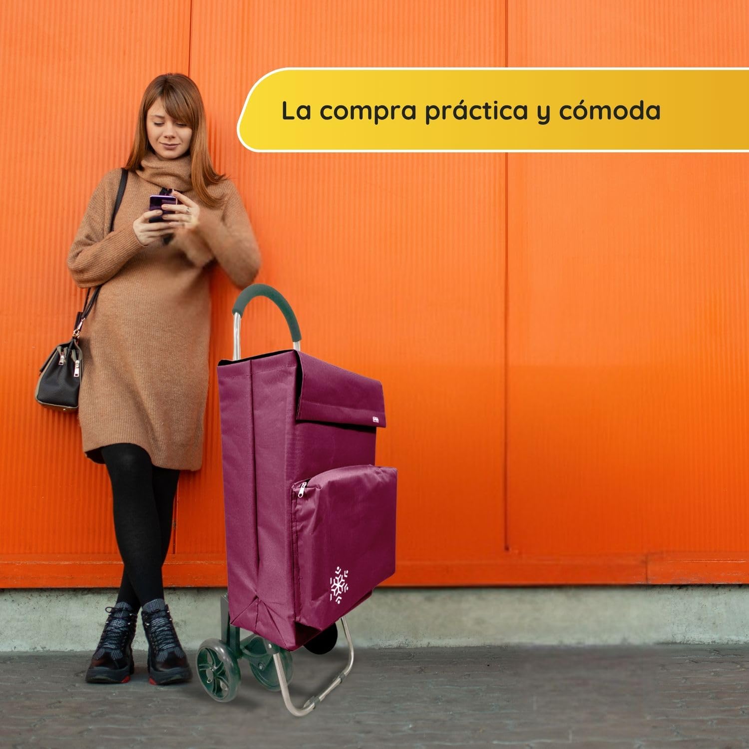 Carro de la Compra 50L con Compartimento Refrigerante y Gancho, 4+2 Ruedas Ideal Supermercado Granate
