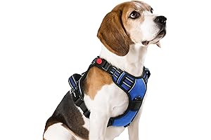 Rabbitgoo No Pull Dog Harness: The Epitome of Canine Comfort and Control