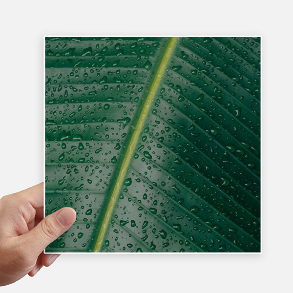 Autocollants plante tropicale pour personnaliser votre ordinateur portable et moto