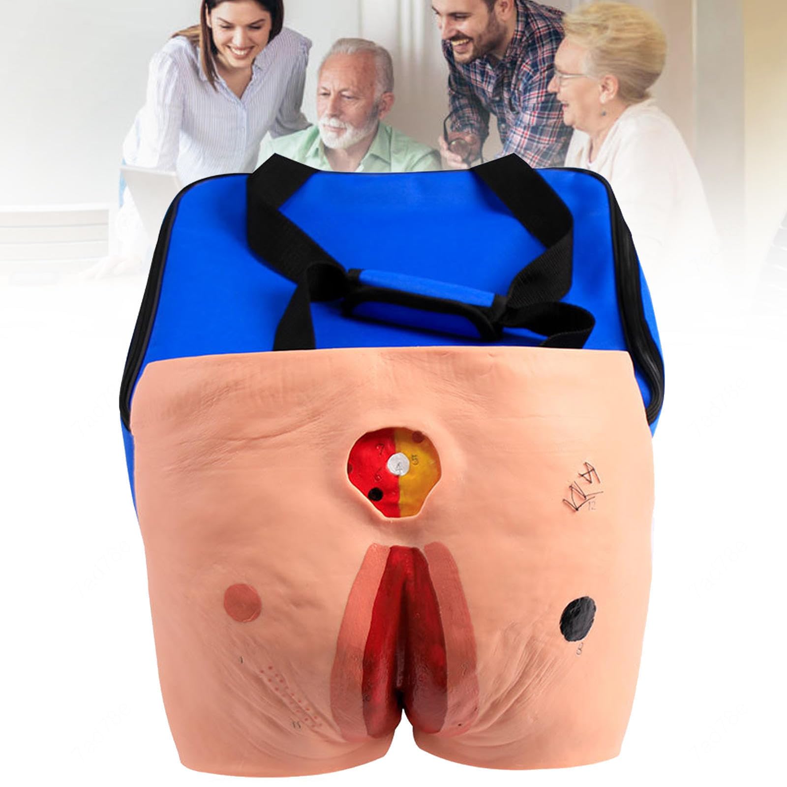 Pressure Sores in 4 Advanced Stages, Care Model Decubitus Ulcers, Simulator, Nursing, Wounds for