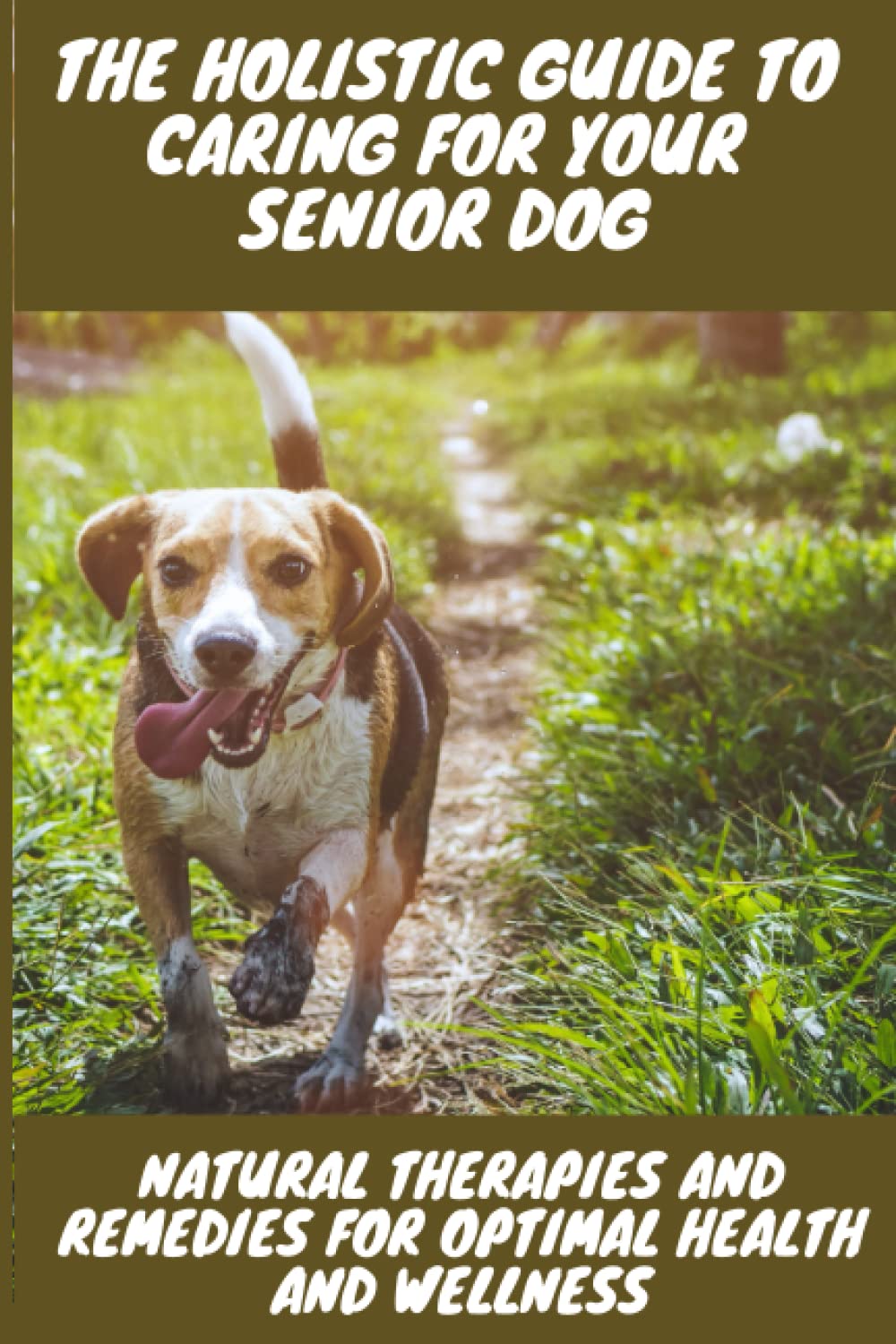 The Holistic Guide to caring for your Senior Dog: Natural Therapies and Remedies for Optimal Health and Wellness