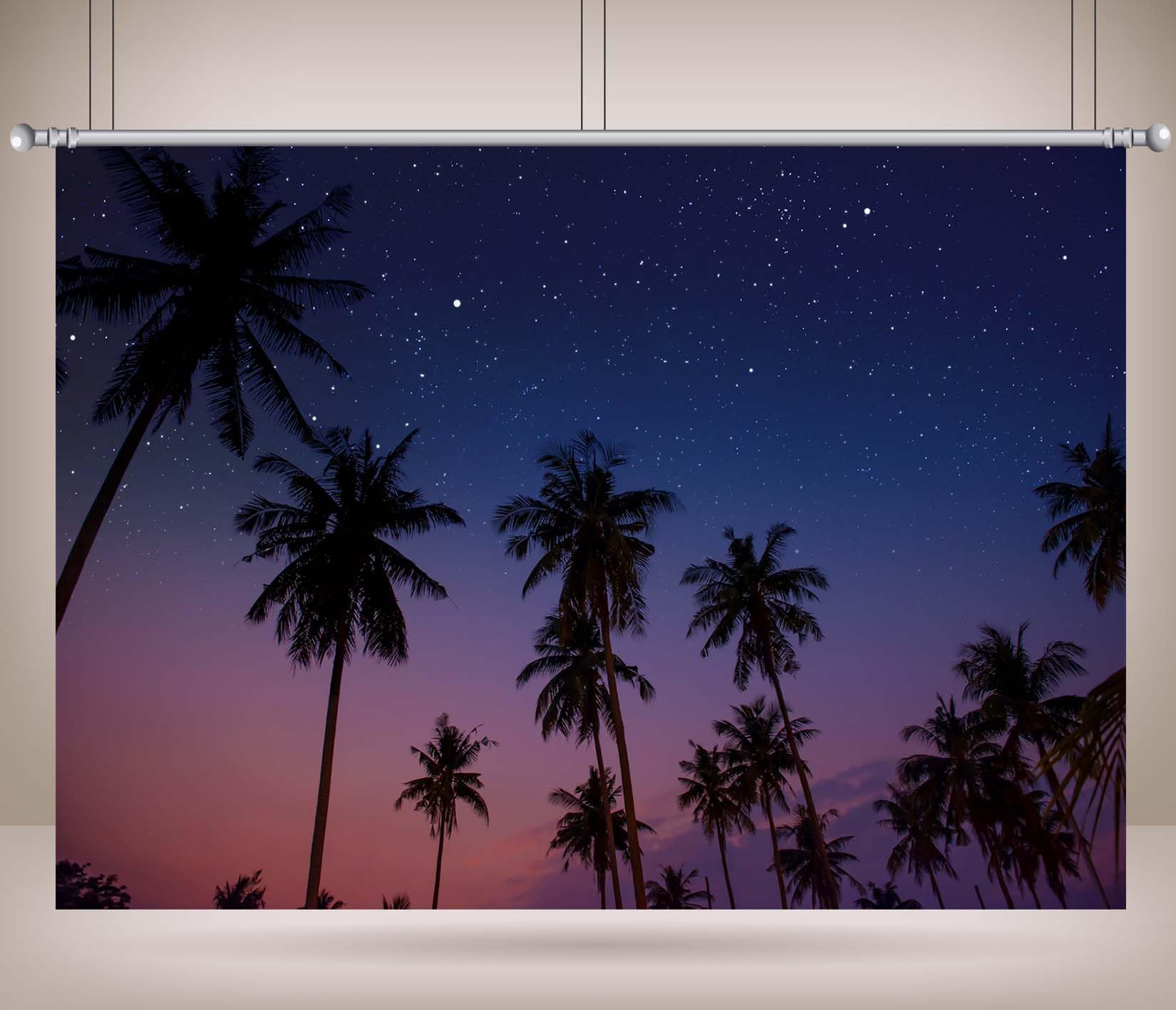 10x8FT (3x2.5m) Sagome Di Palme Sotto Il Cielo Stellato Sfondo Fotografico | Orizzonte Notturno Tropicale Fondale In Tessuto,Crepuscolo Viola Palme Alte,Per Feste Estive E Foto Delle Vacanze,Photo Booth