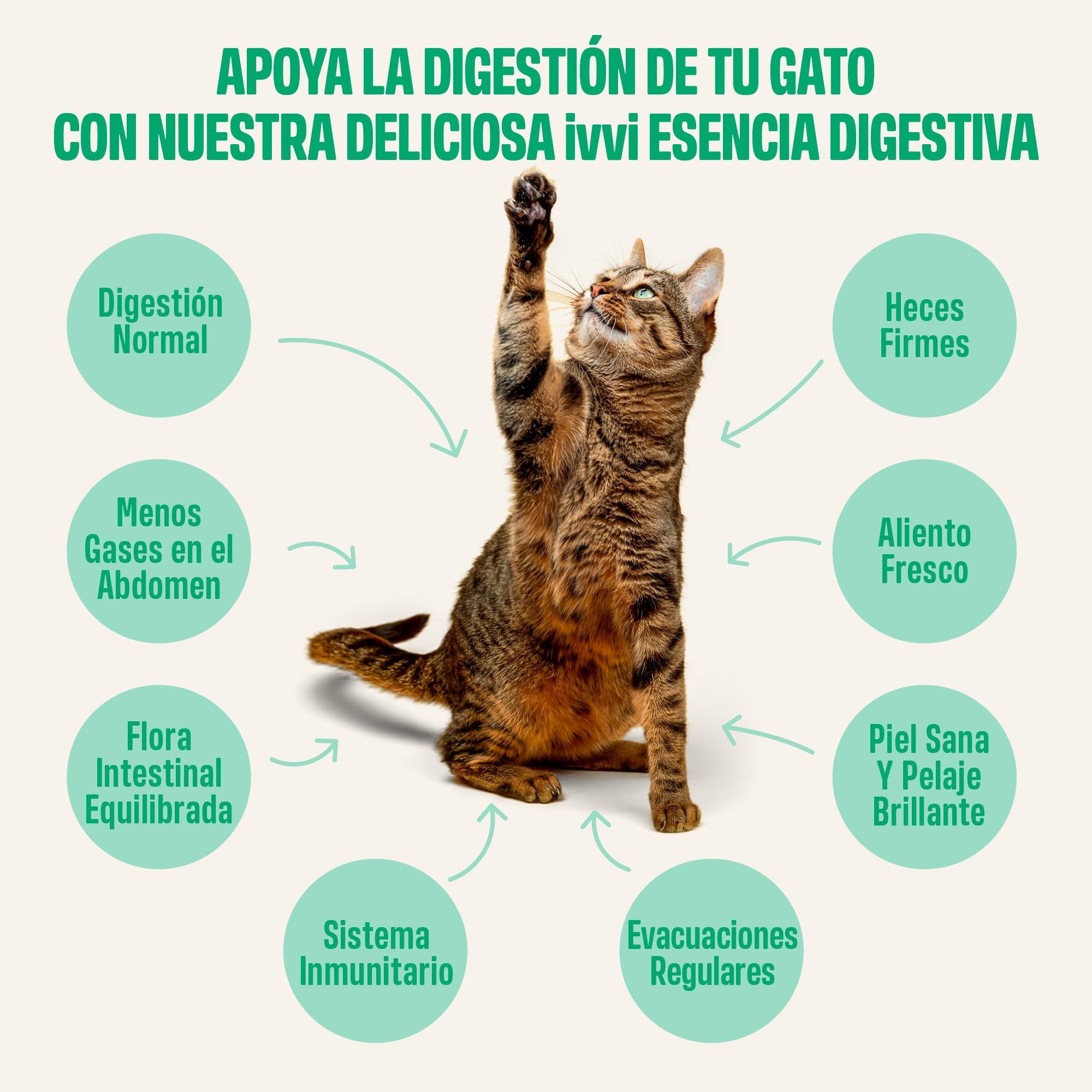 ivvi Esencia Digestiva para Gatos – 30 Snacks Cremosos con Atún, Calabaza, Linaza y Postbiótico derivado de Probióticos – Digestión, Flora Intestinal y Bienestar – 450 g