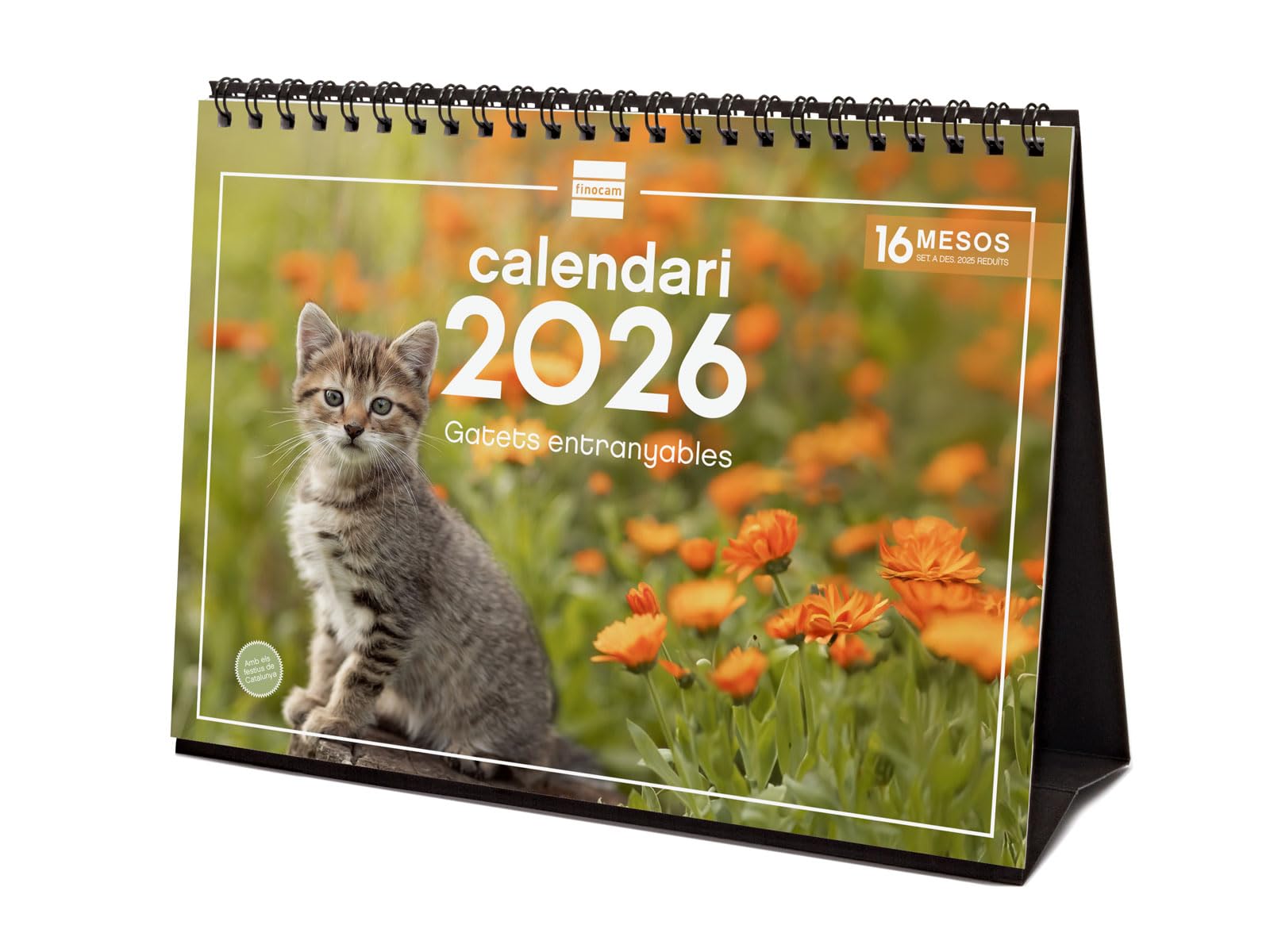 Finocam - Desktop Calendar 2026 Month View January - December 2026 + Sep.- Dec. 2025 (4 months) reduced | Calendar 2026 | Images Kittens - Catalan