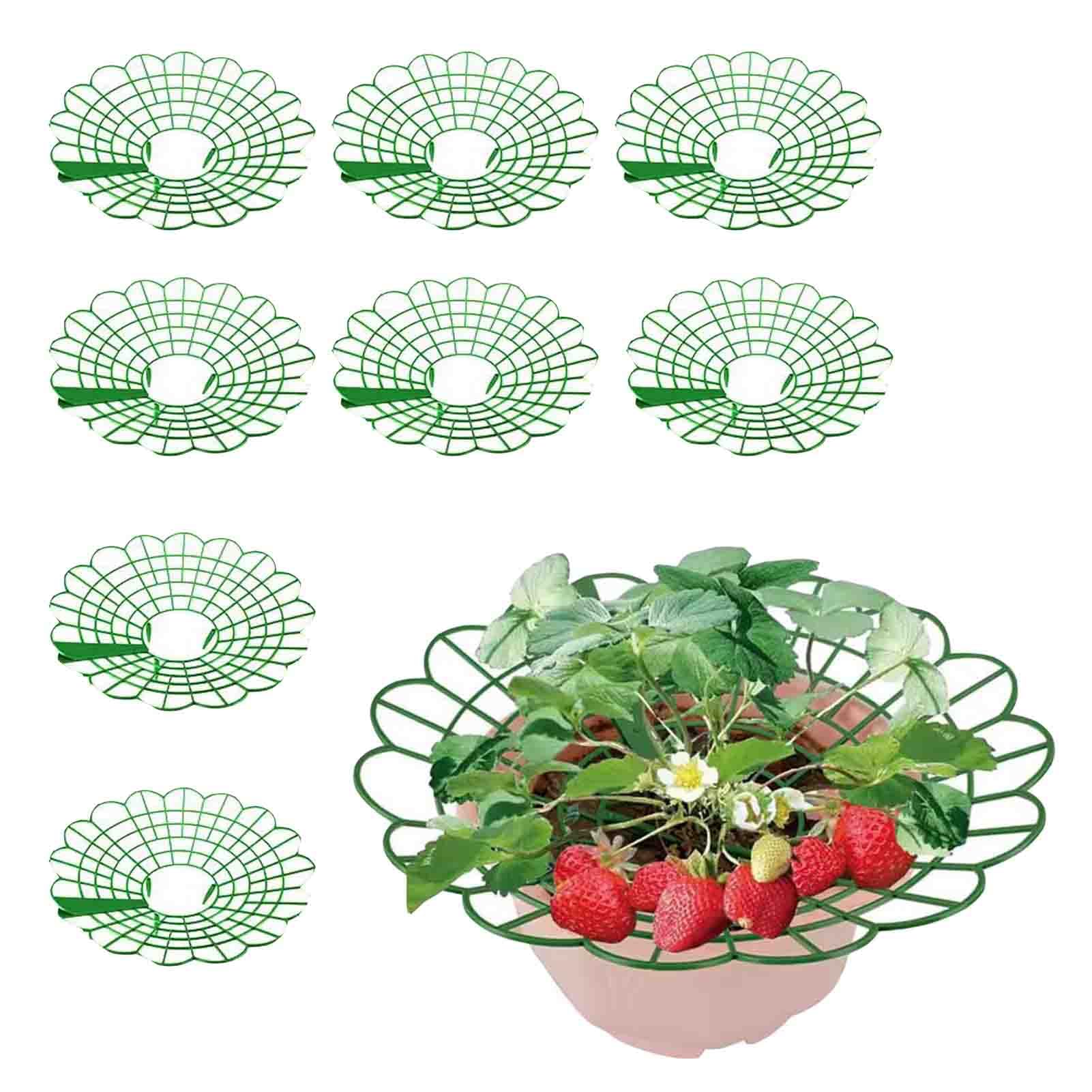Strawberry Supports, Strawberry Plant Support for Growing Plants, Reusable Strawberry Plant Protector Stand for Garden Balcony Fruit Accessories (8Pcs)