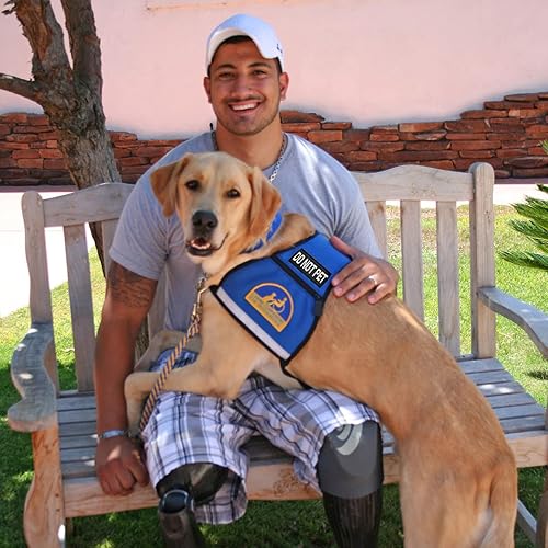 Miniatura 6 de Paquete de 2 parches para perros de servicio, parche de chaleco negro para entrenar al perro, parches de arnés extraíbles con gancho trasero,