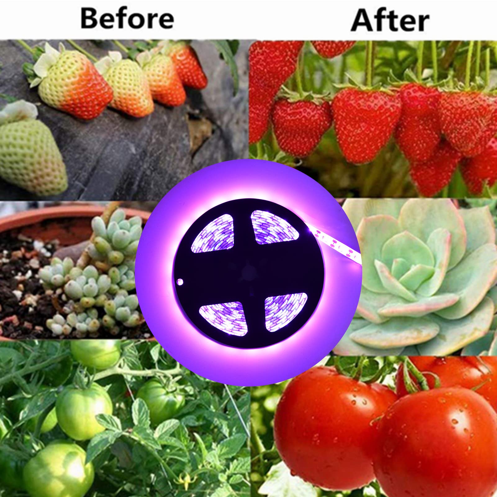 Zerodis Striscia Luminosa per Coltivazione di Piante Solari, Lampada per Coltivazione a LED da 5W per Piante da Interno Piante Grasse Serra Giardinaggio USB Grow Light (2M)
