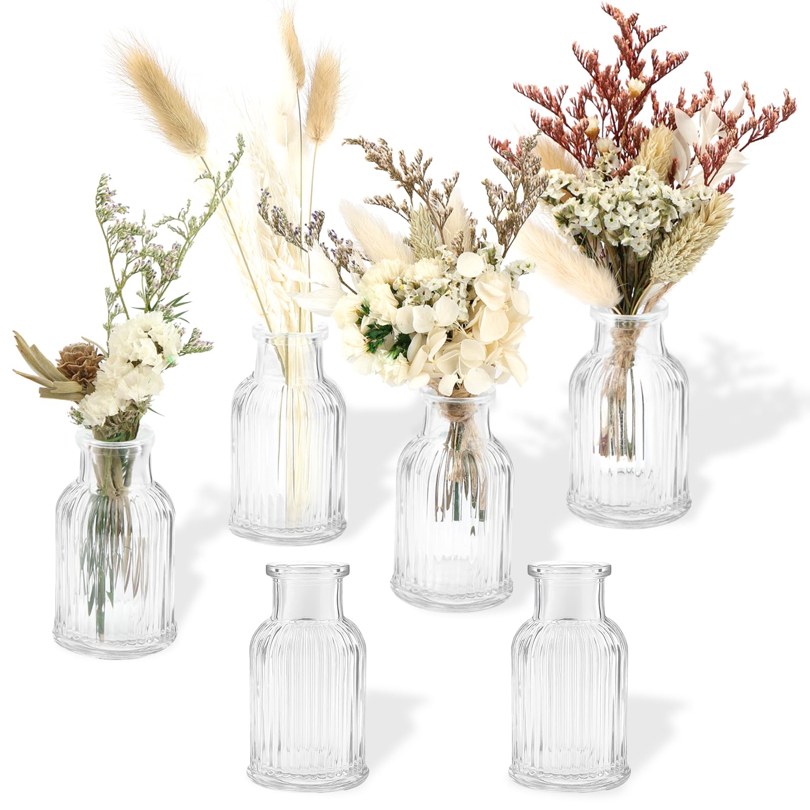 Mini Glass Bud Vases, 6 Pcs Small Vases for Flowers, 50 ml Clear Mini Vase