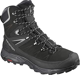 Men's X Ultra Winter CS Waterproof 2 Hiking Boot - coolthings.us