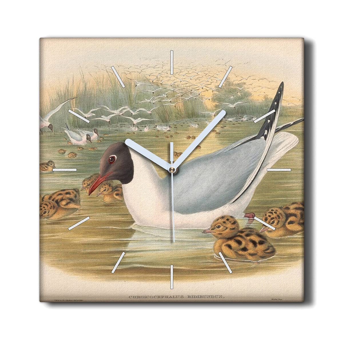 Horloge sur Toile sans tic-tac Coloray Décoration Murale Silencieuse 30cm