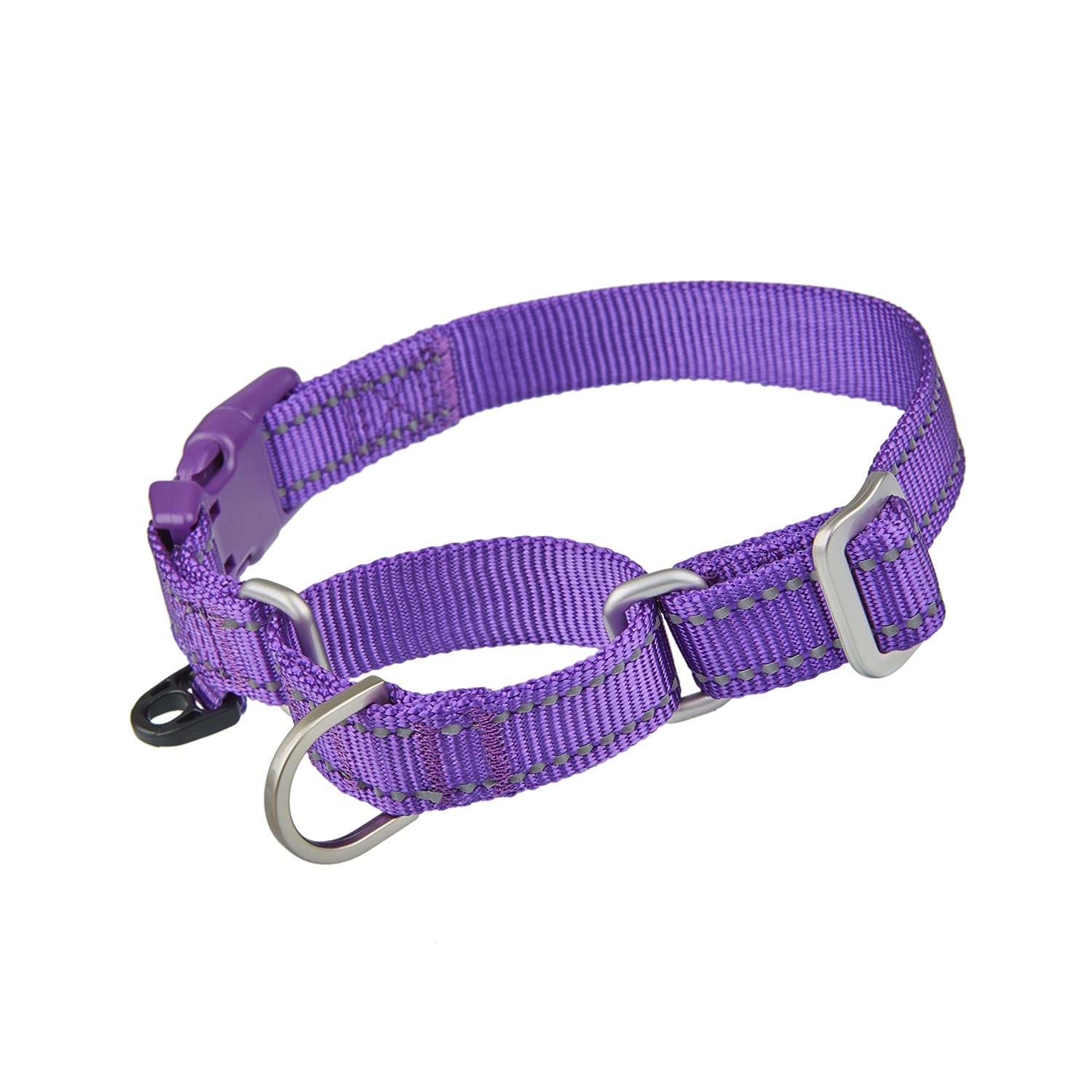 Are Martingale Collars Safe For Dogs