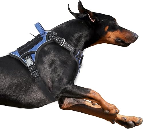 Miniatura 11 de Arnés táctico BUMBIN para mascotas con asa para perros medianos, ajustable, famoso arnés de TIK Tok Fit Smart reflectante sin tirones