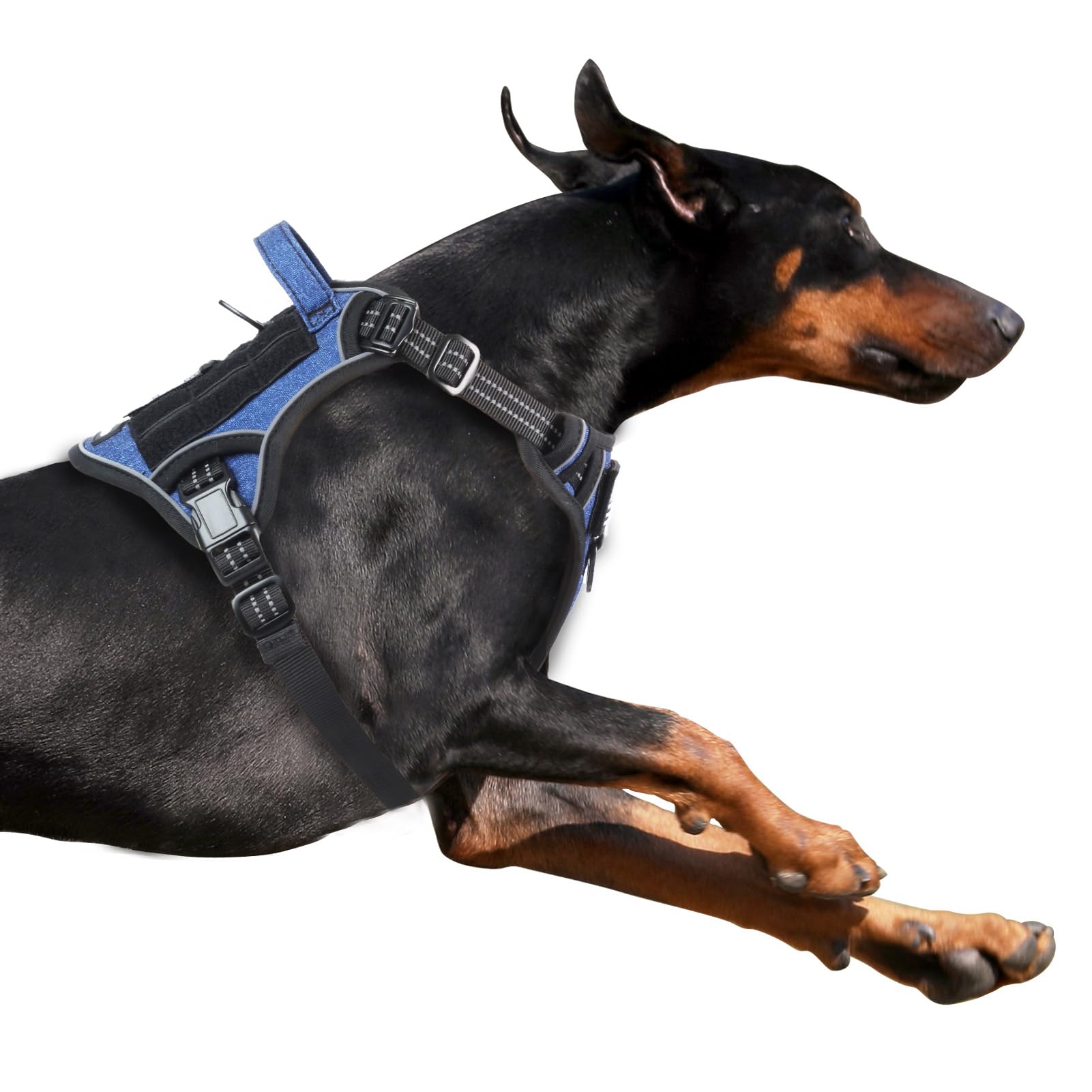 BUMBIN Arnés táctico para perros pequeños, sin tirones, famoso en TikTok, arnés inteligente reflectante para adiestramiento y paseo, arnés ajustable tipo chaleco con asa, azul vaquero, talla XL