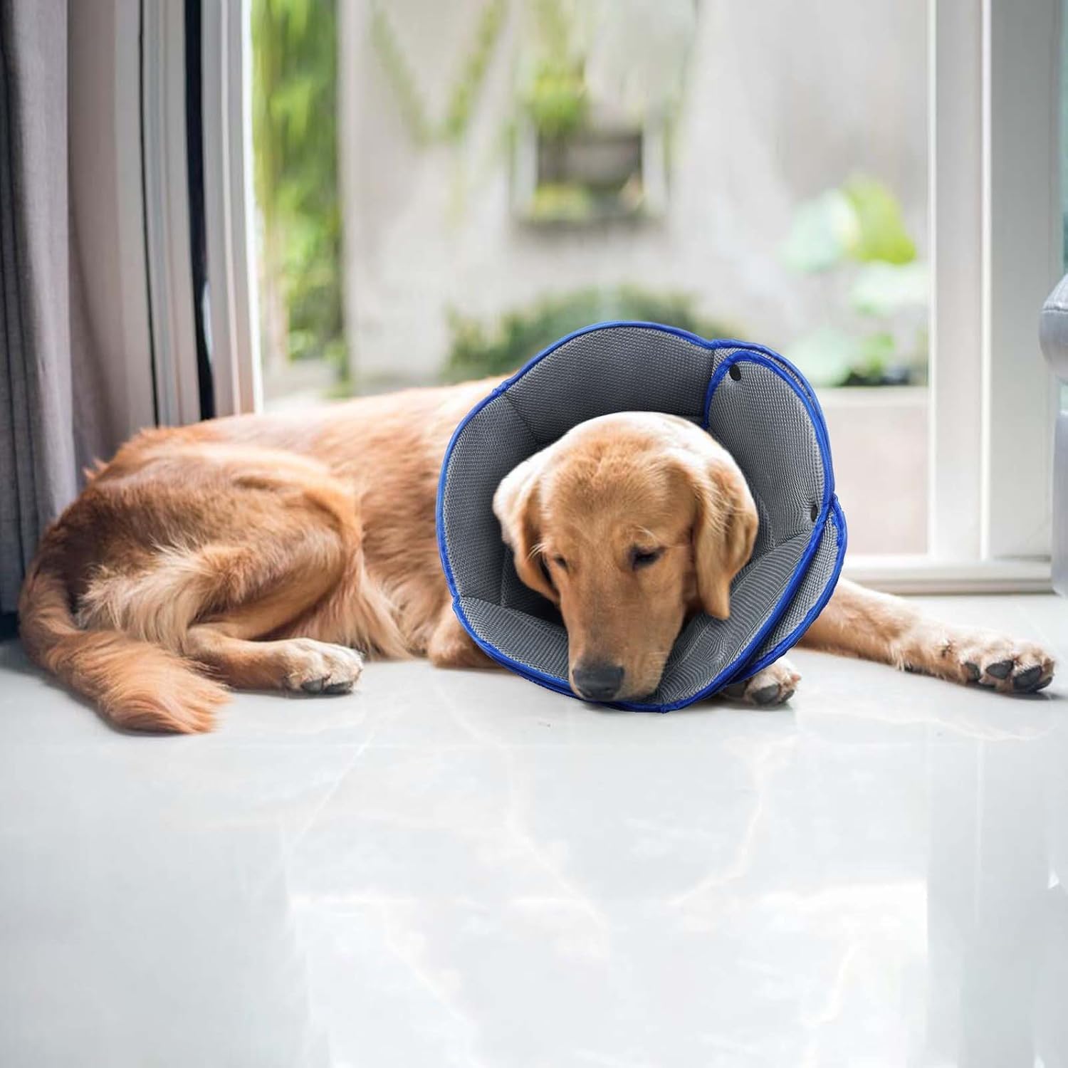 Dog Cat Cone Collar Soft Breathable Cone for Dogs After Surgery to Stop Licking,Cat Recovery Collars & Cones Alternative Dog Cat Cone Collar Soft