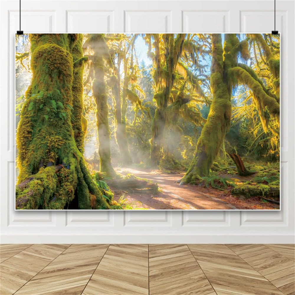 Leowefowa Forest Views Backdrop 10x8ft Moss Forest Tropical Jungle Forest Photography Background Wonderland Spring Landscape Background Nature Forest