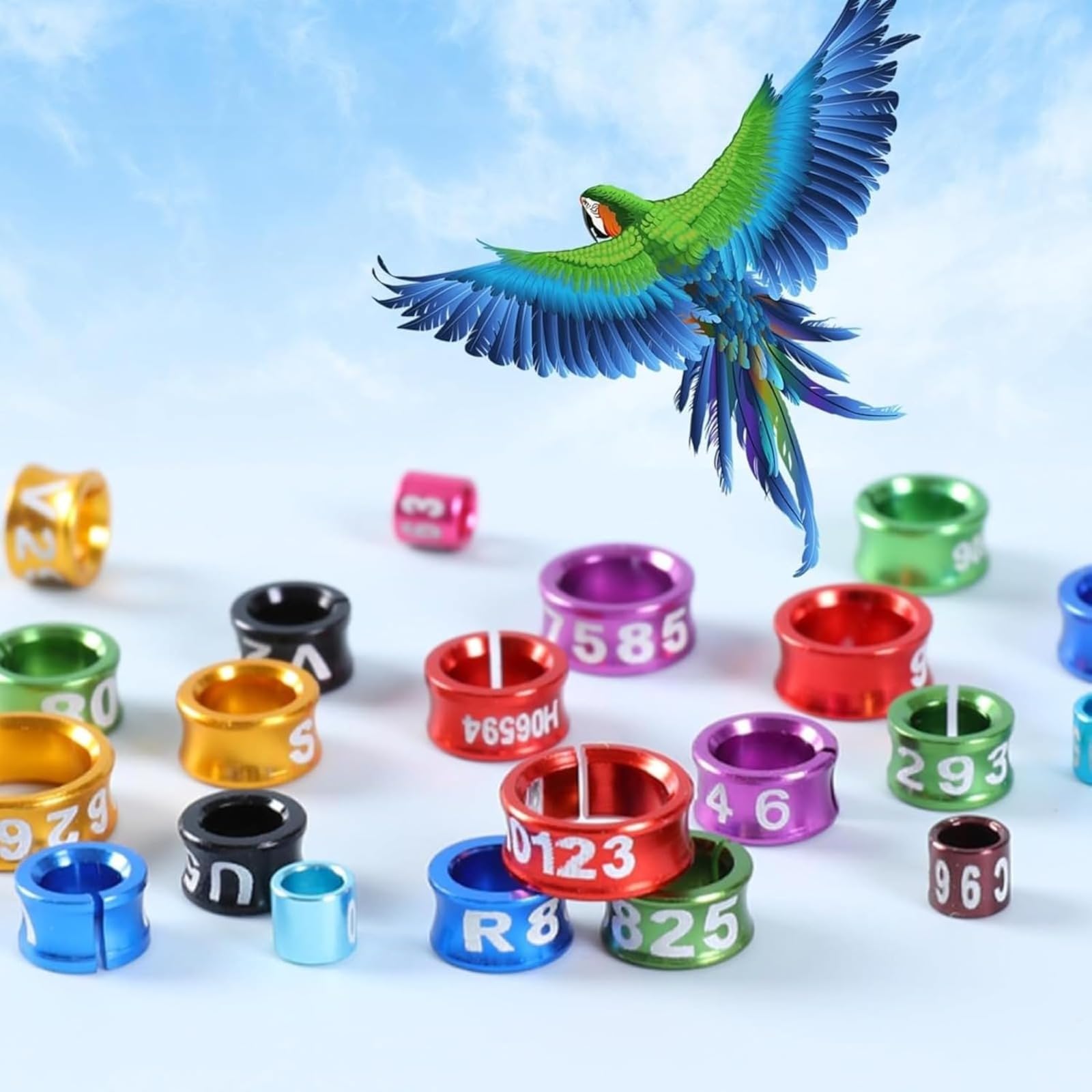 Générique Bande Professionnelle à Jambe fermée pour Oiseaux - Bague en Aluminium Durable pour perroquets, pacaws, Conures, Oiseaux Exotiques (Couleurs Mixtes)