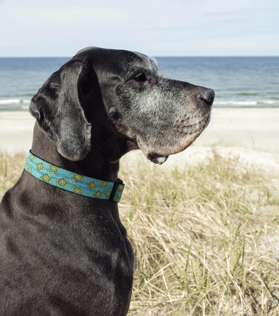 Up Country Sea Turtle Pattern Dog Collar, X-Large (18 to 24 Inches) 1 Inch Wide Width
