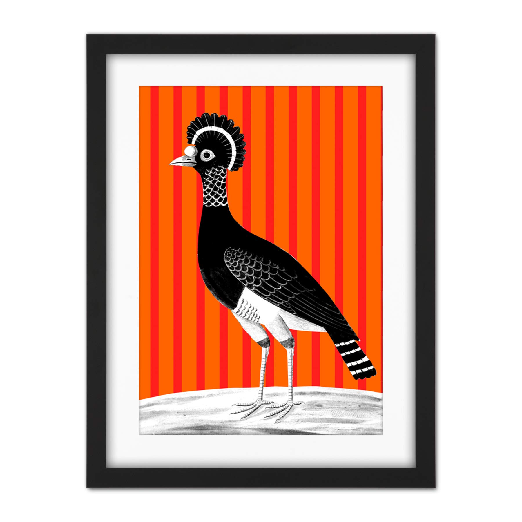 Wee Blue Coo Tall Birds On Stripes Carafson Hen Artwork Framed Wall Art Print 18X24 Inch