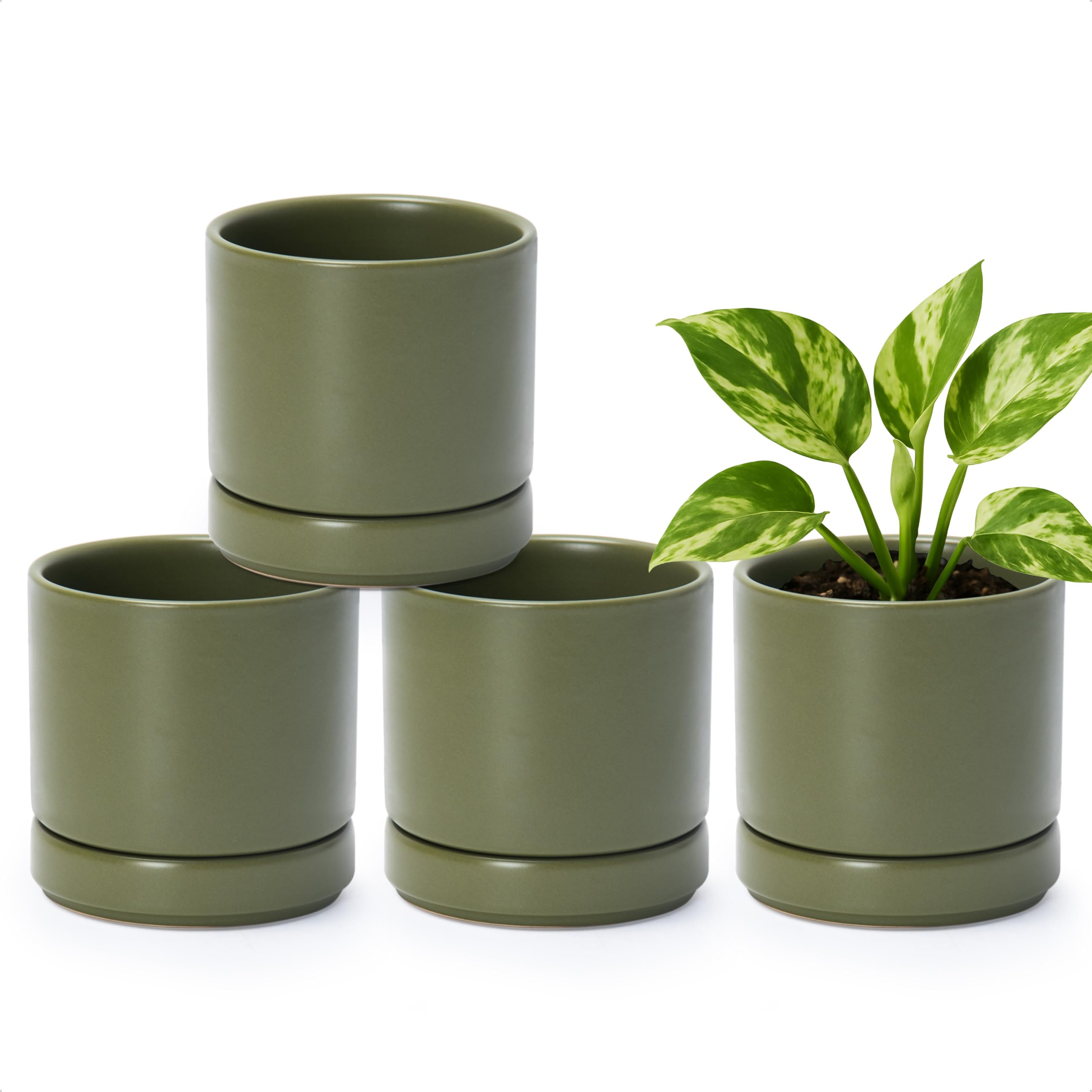D'vine Dev Ceramic Plant Pots