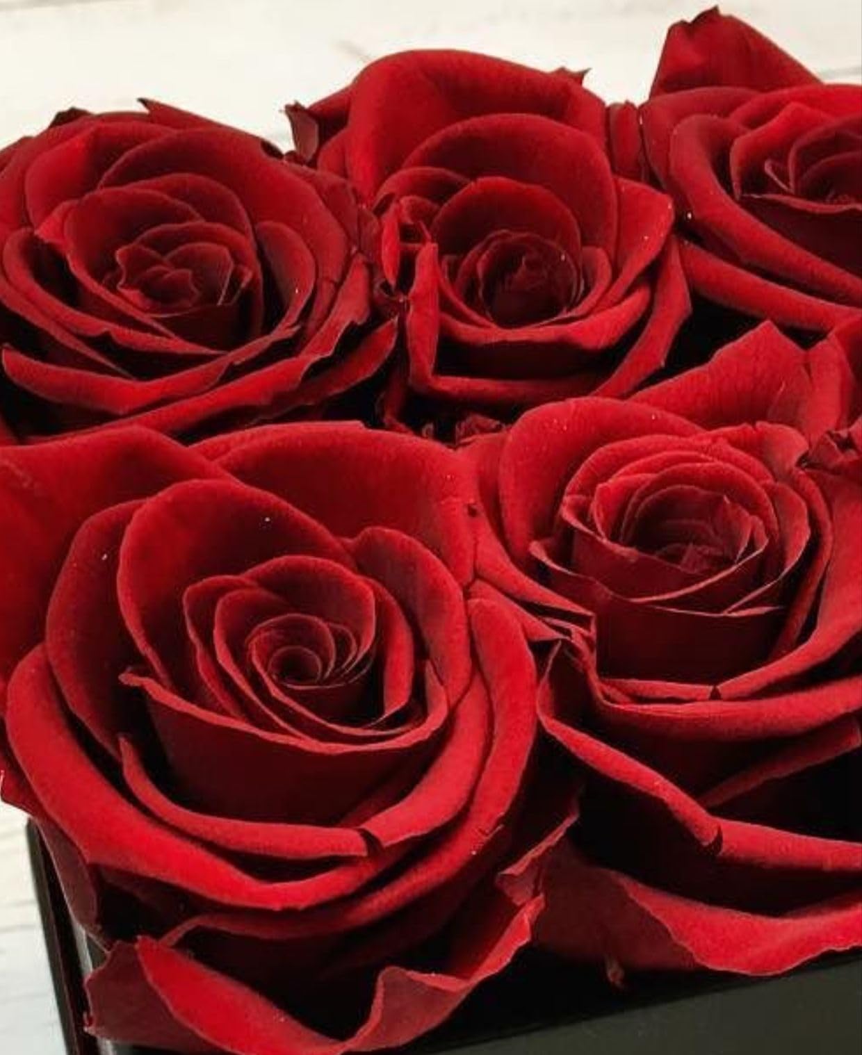 Elegante bolsa de rosas preservadas blancas de alta calidad ideal para bodas y ceremonias