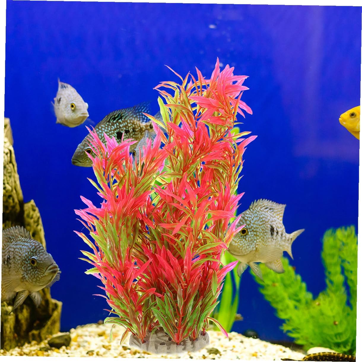 2 Pcs Aquarium Decoration Artificial Plastic Plants Betta Fish Tank Accessories Orange Color Freshwater Aquatic Plant Décor for Fish Tank Landscaping