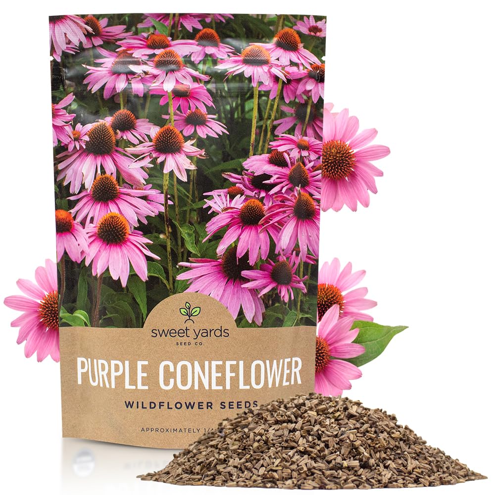 Purple Coneflower Seeds – Bulk Quarter Pound Packet