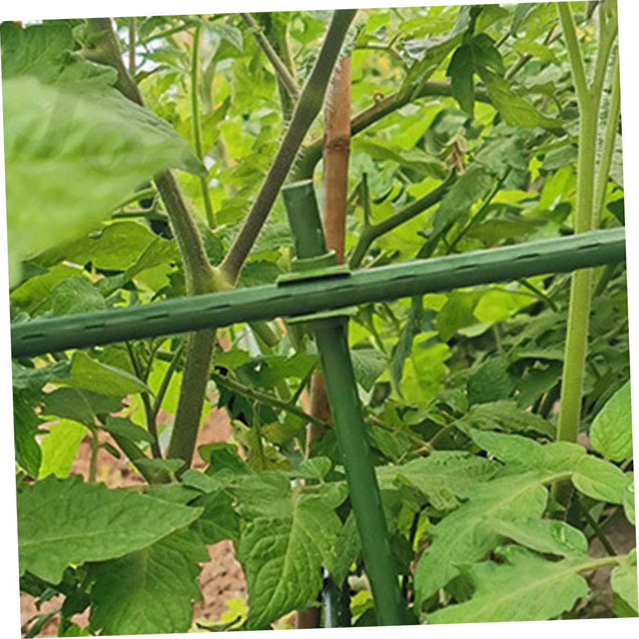 TOYANDONA 3 Sätze Pflanzenverbindungsclips Verstellbare Klammern Für Pflanzenstützen Robuste Und Langlebige Verbinder Für Pflanzenrankhilfen Zu Bedienen Für Gartenarbeiten 50 Stück * 3