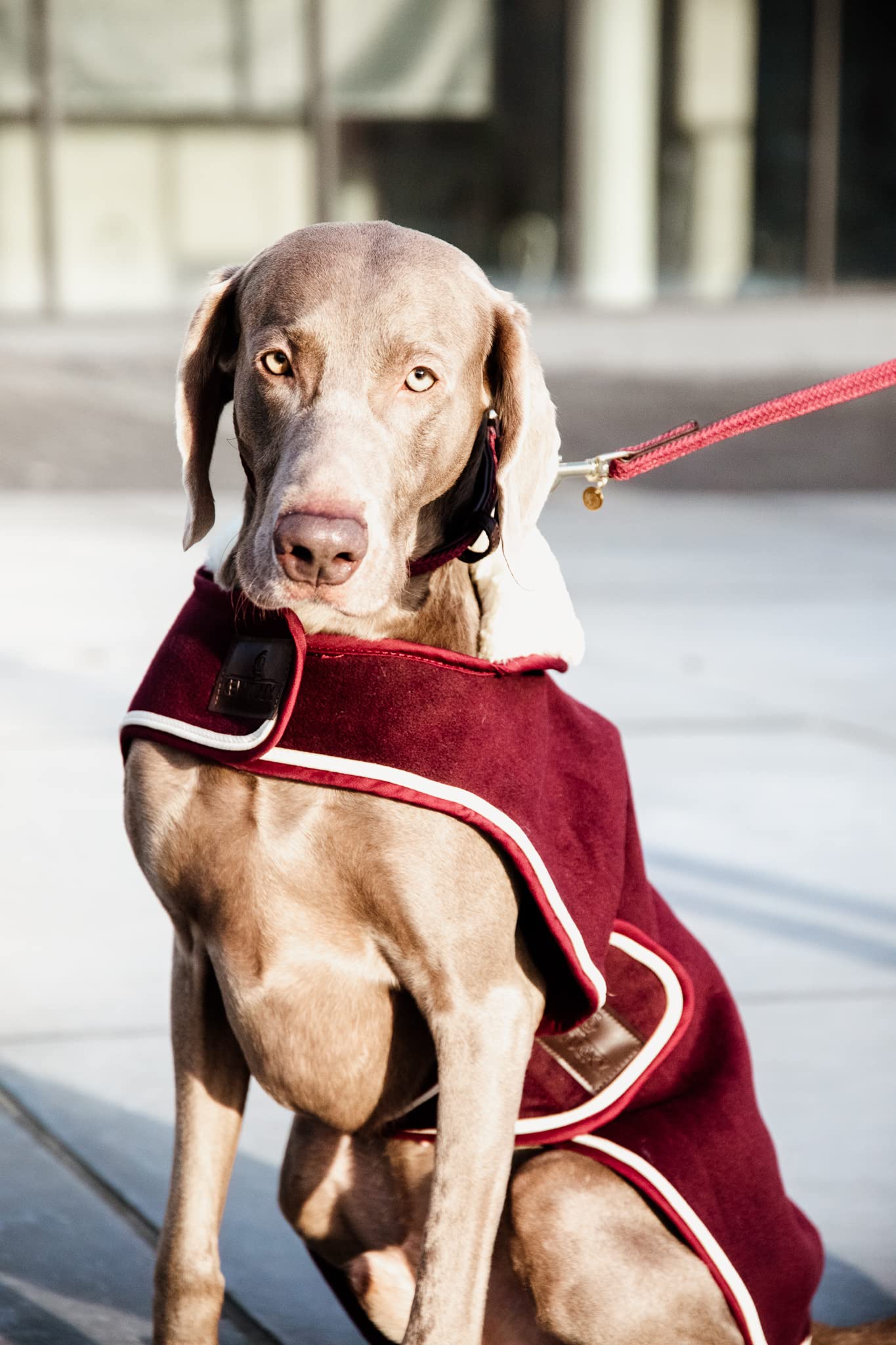 Kentucky Dogwear - Hundemantel - Heavy Fleece - Bordeaux - Größe (S) - 34-38cm