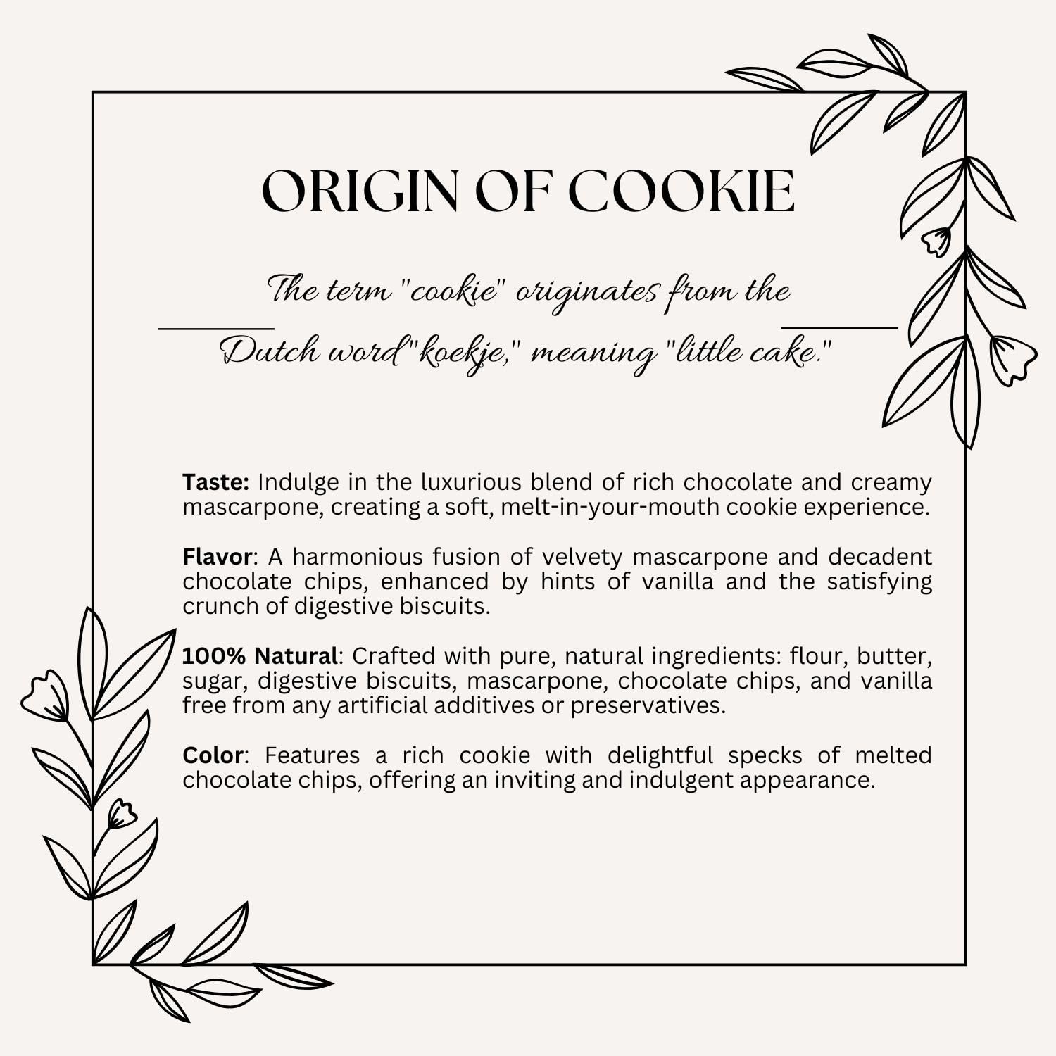 Madison & Pike Chocolate Mascarpone Cookies (210g) | Eggless & Preservative-Free | Gourmet Butter Cookies with Mascarpone & Chocolate Chips 3