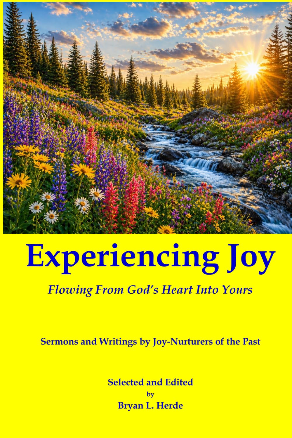 Experiencing Joy: Flowing from God's Heart Into Yours