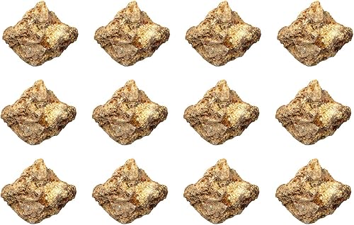 EISCO Paquete de 12 muestras de talco crudo, minerales  aproximadamente 1 pulgada  Geólogo seleccionado y procesado a mano  Ideal para aulas de