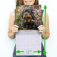 Vista 1268 de Razas de Perros 2017