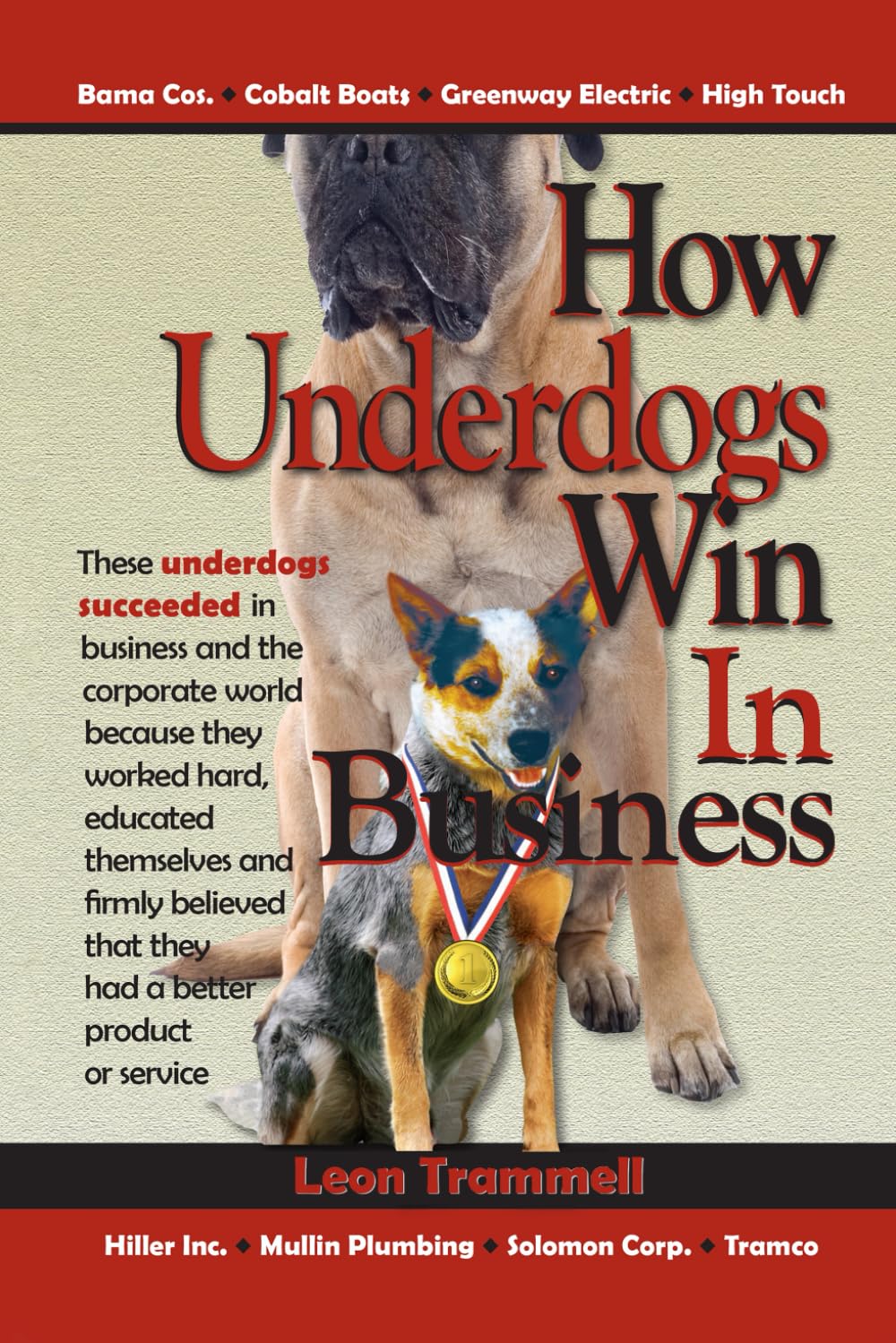 How Underdogs Win in Business