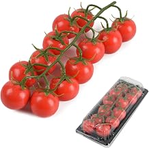 Artificial Cherry Tomatoes on Vine, Fake Tomatoes, Photography Prop Faux Fruit Home Kitchen Decorative 12PCS Red