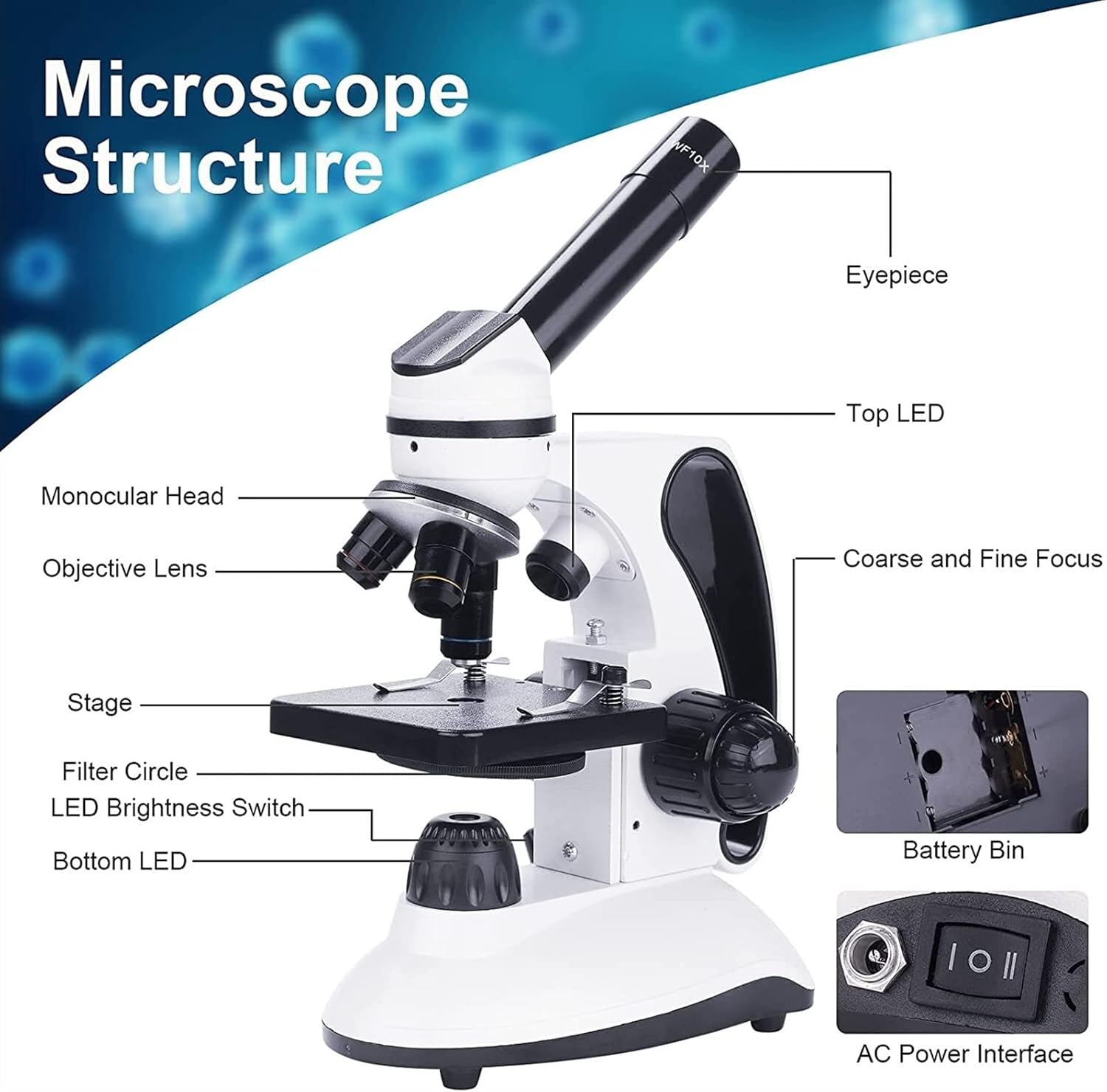 Microscope 40-2000X Digital Lab Compound LED Microscope for Student Biological Education ?Dual LED Illumination with Prepared Slides Kit for School Laboratory