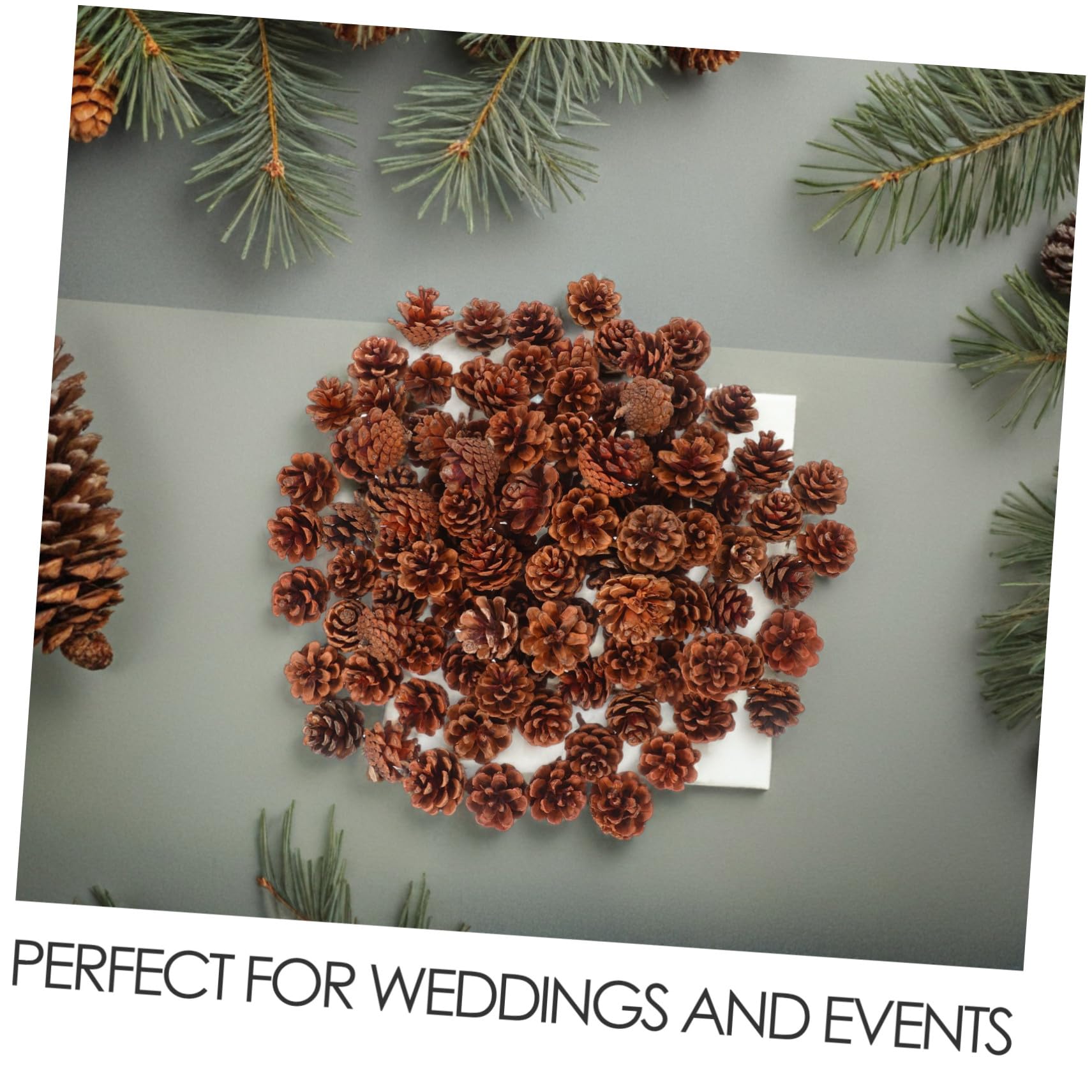 Piñas Naturales Pequeñas 3-4 Cm para Manualidades Navideñas y Decorar Jarrones, 130 Unidades, Piñas Otoñales De Pino para Acción De Gracias y Decoración De Temporada