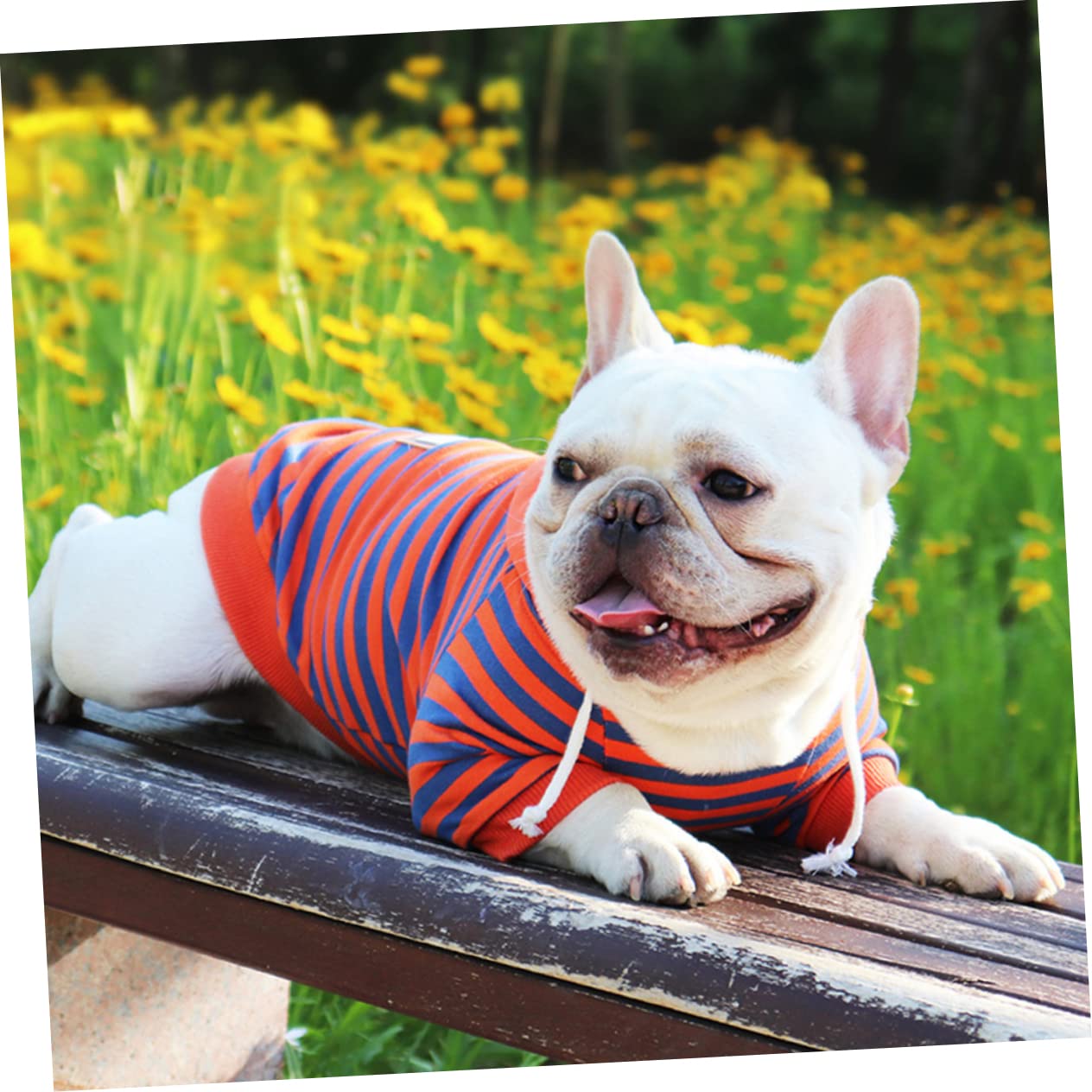 BESPORTBLE 3pezzi Maglietta Strisce Per Cani Cotone Traspirante Abbigliamento Per Animali Domestici Per Occasioni Speciali e Attività All Aperto Comoda e Alla Moda Varie Taglie