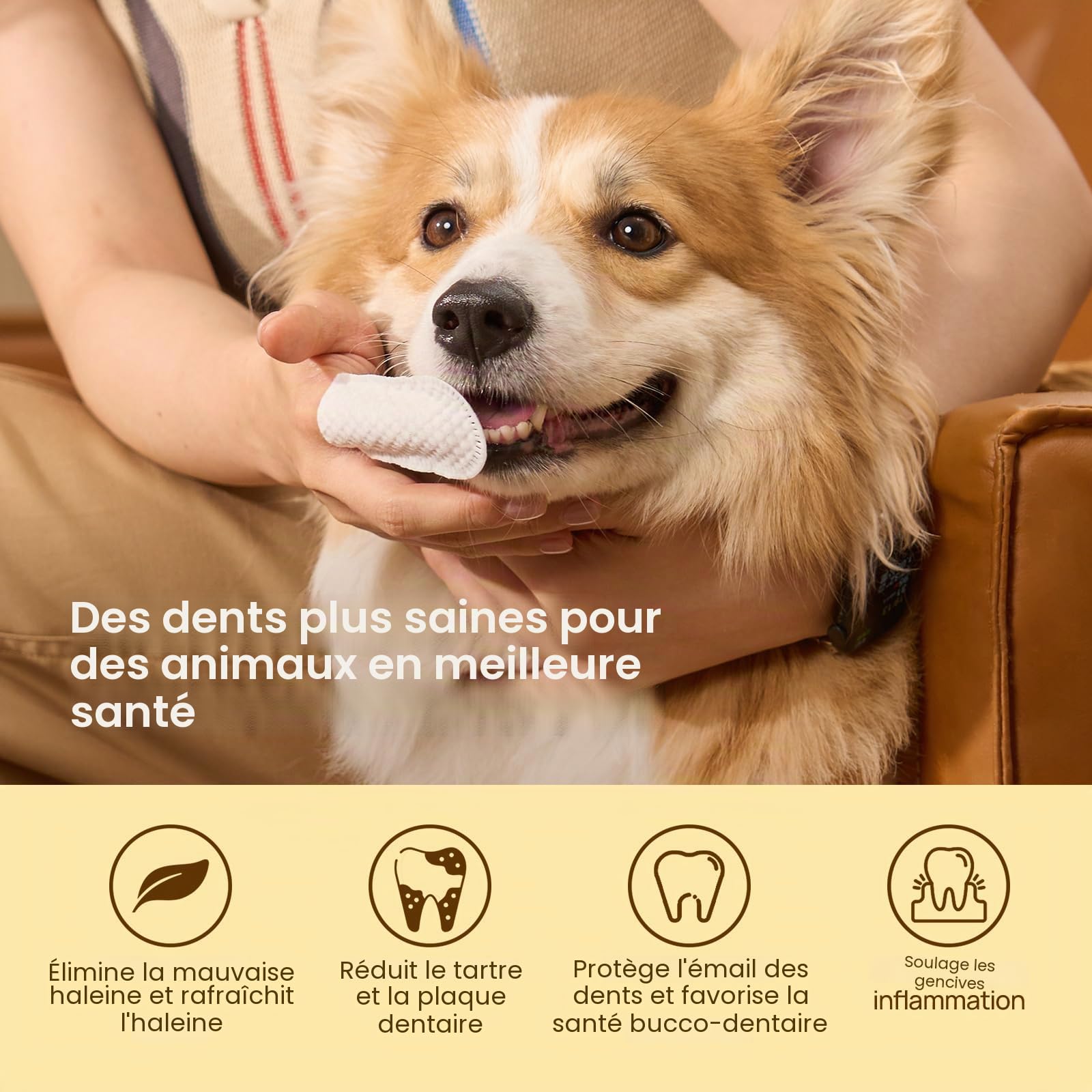 HICC PET Serviettes de nettoyage des dents pour chiens et chats, Enlevez la mauvaise haleine en enlevant la plaque et le tartre accumulé Brosse à dents à doigts de chien sans rinçage (Minte)