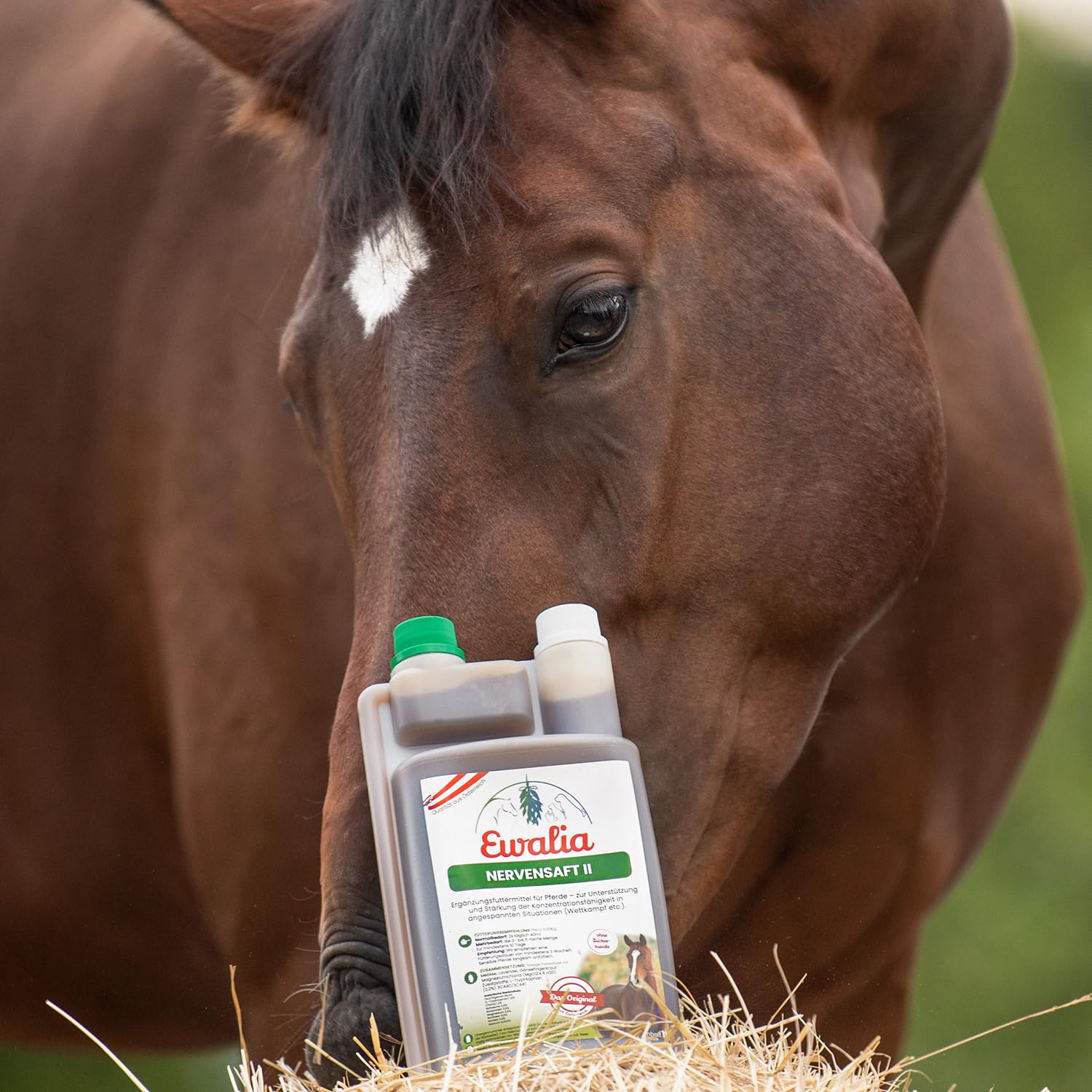 EWALIA Jugo nervioso II – Apoyo específico para un rendimiento concentrado en caballos – Ideal para competiciones y entrenamiento, desarrollado con veterinarios, 100% natural, libre de aditivos, 3 x 1