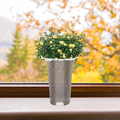 Miniatura 7 de DOITOOL 5 macetas de plástico transparente para orquídeas, macetas con agujeros, transpirables, altas, para interiores y exteriores, plantas y