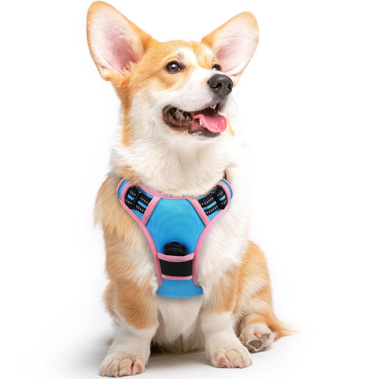 Eagloo Dog Harness for Medium Sized Dogs, No Pull Vest with 2 Leash Clips