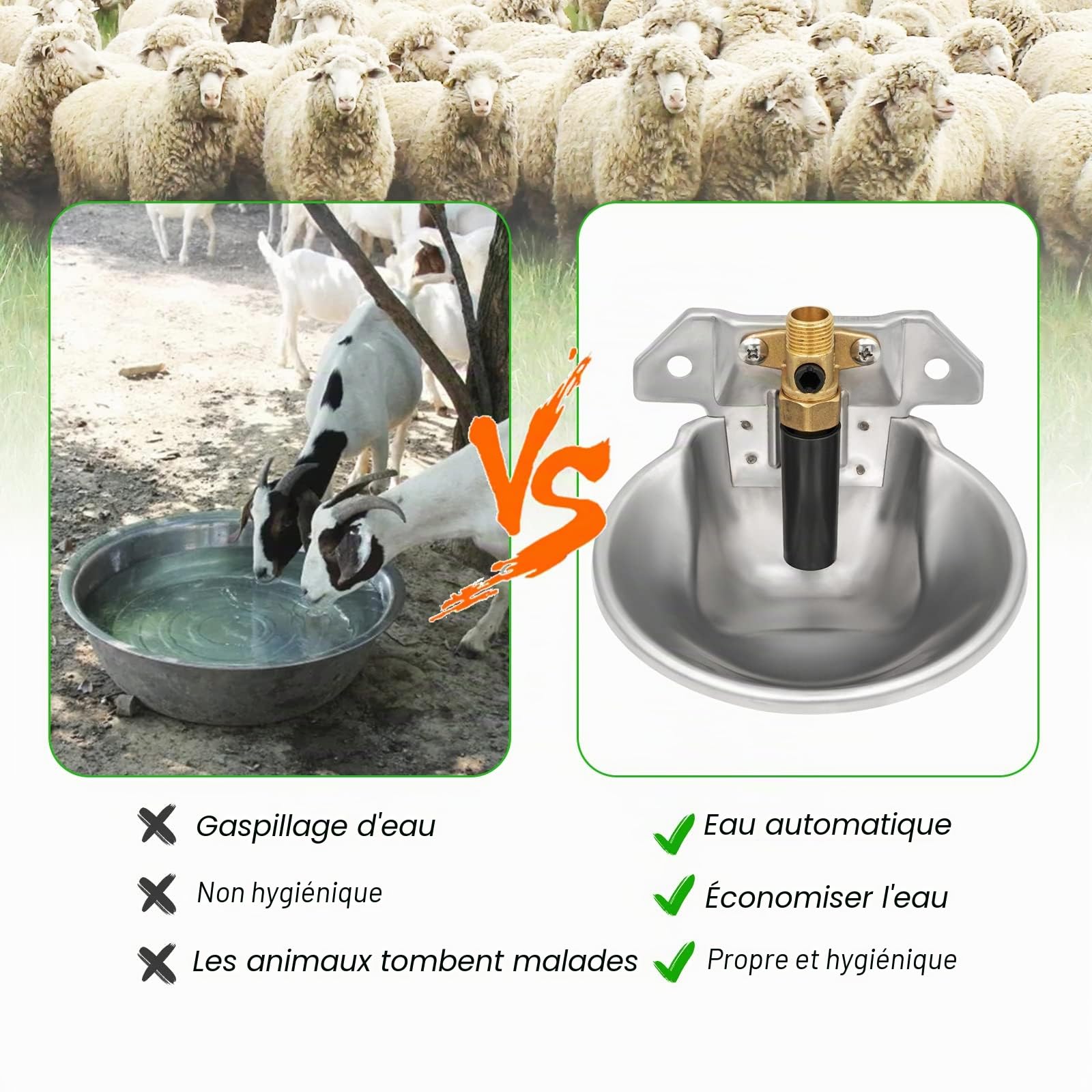 Abreuvoir Automatique en Acier Inoxydable pour Moutons et Chèvres, Robinet en Cuivre Intégré, Convient pour Veaux, Porcs, Porcelets et Chiens